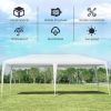 10'x20' Canopy Tent Heavy Duty Wedding Party Tent 4 Sidewalls W/Carry Bag