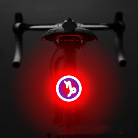 Bicycle Intelligent Auto Brake Sensor Light Waterproof LED Rechargeable Bicycle Tail Light Bike Accessories Bike Light Mount (Option: G)